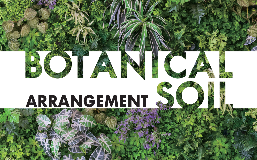 Botanical soil arrangement